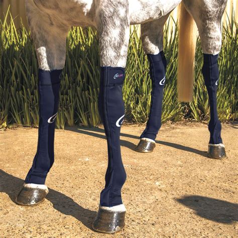 equine compression socks.